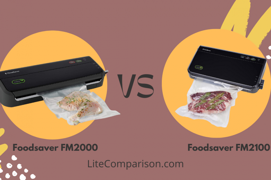 Foodsaver FM2000 vs FM2100